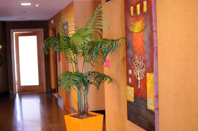 Hotel Fly Casoria Dış mekan fotoğraf